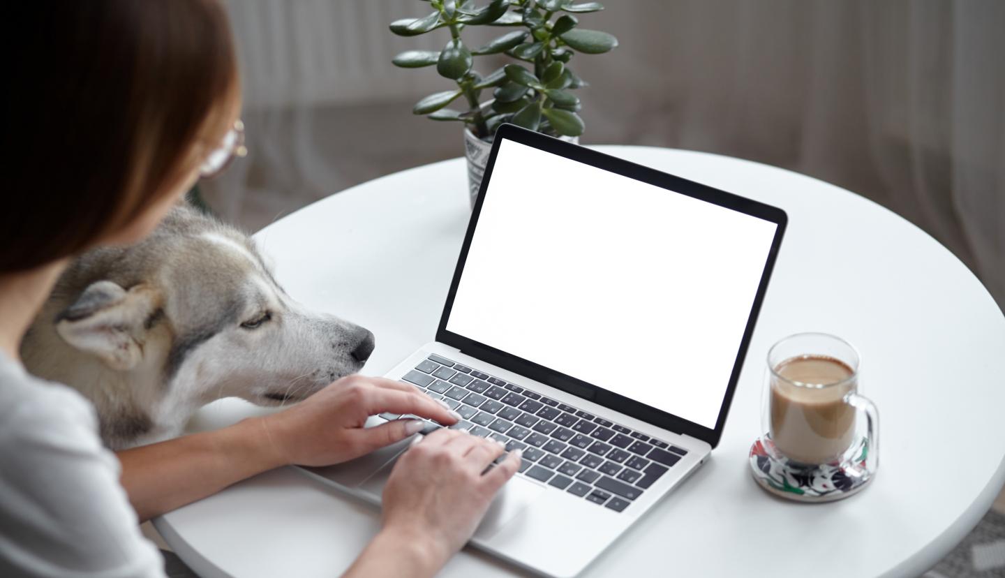 laptop